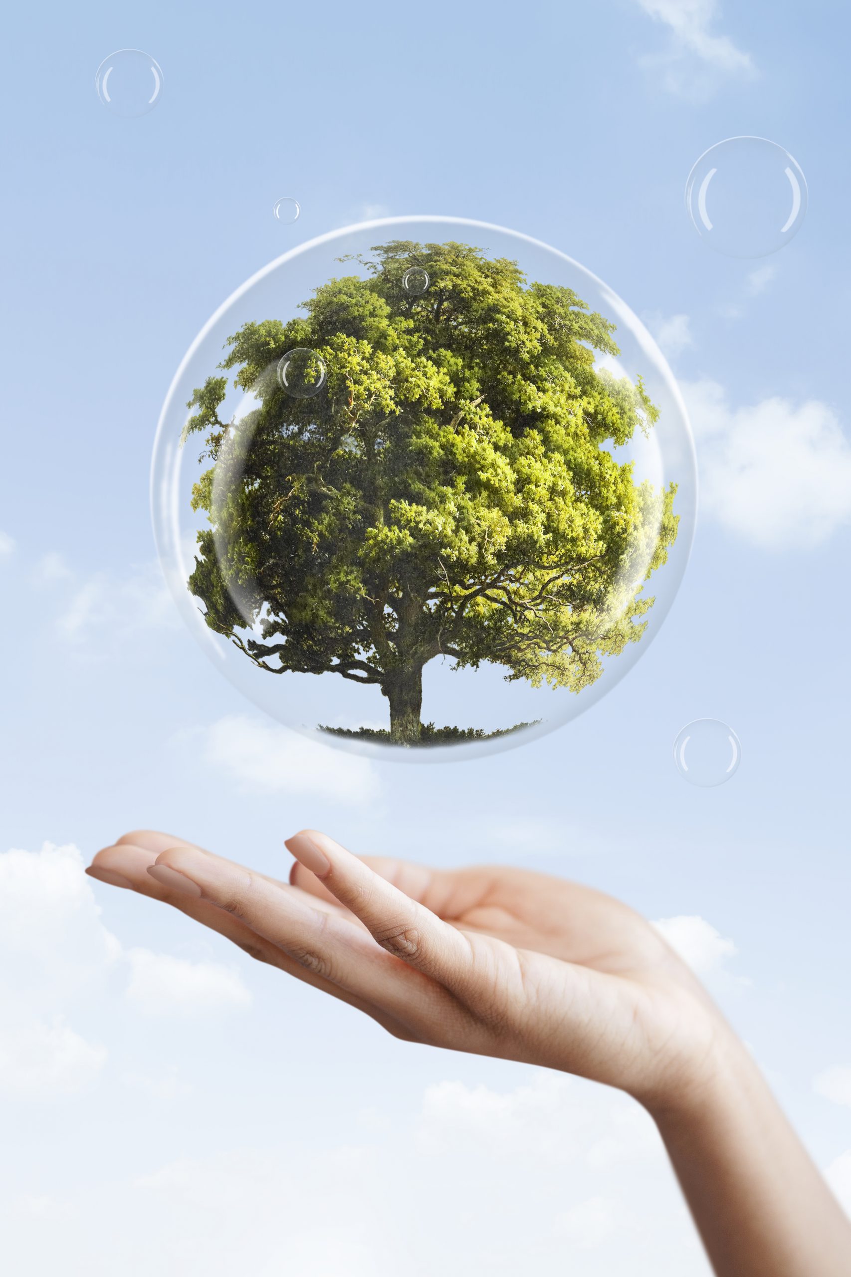 Earth day campaign hand showing tree in a bubble media mix